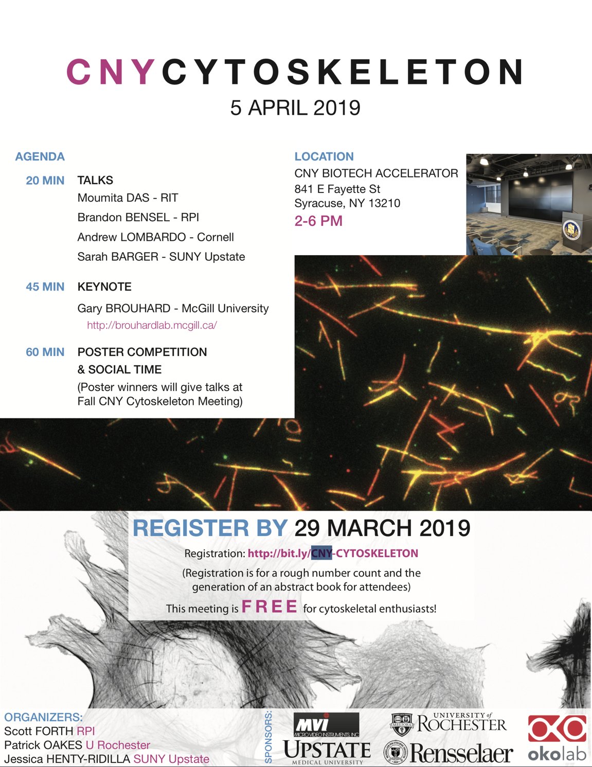 OAKES LAB | News